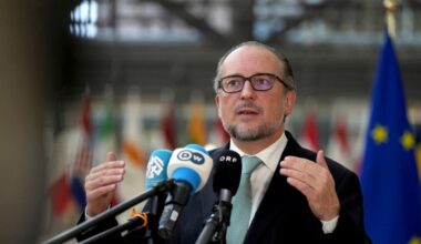Austria swears in Schallenberg as interim chancellor after Nehammer steps down