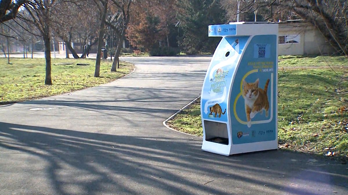 Help homeless cats and the environment with new vending machines in Bucharest parks