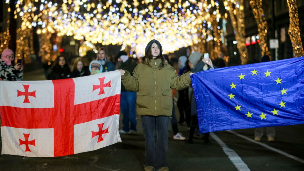 Georgia's FM says EU decision to suspend visa-free travel is 'politically wrong'