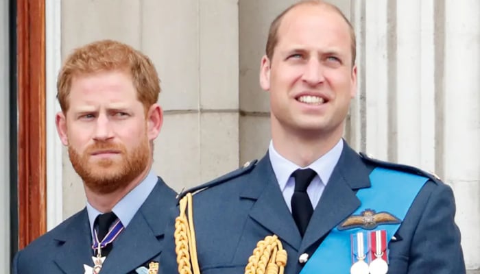 Major details about Prince William, Harrys meeting in UK revealed