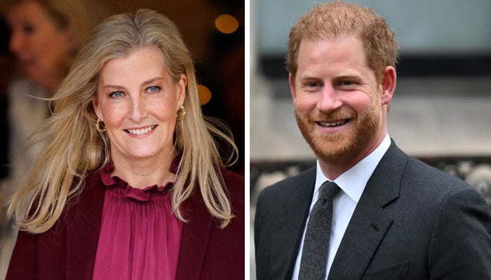 Duchess Sophie’s heartfelt words for Prince Harry heals wounds