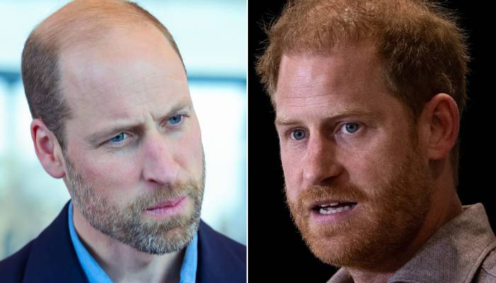 Prince William and Prince Harrys relationship remains strained