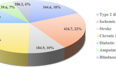 Economic burden of Type 2 diabetes in Iran in 2022 | BMC Public Health