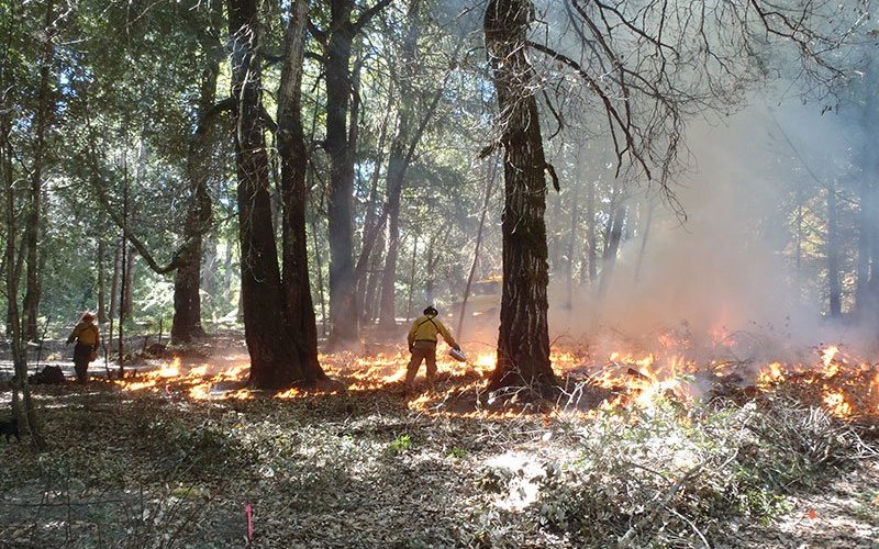 Lake Property Klamath River prescribed fire training exchange burn conducted by Karuk and Yurok ignitors. (Photo: Frank K. Lake, U.S. Forest Service)