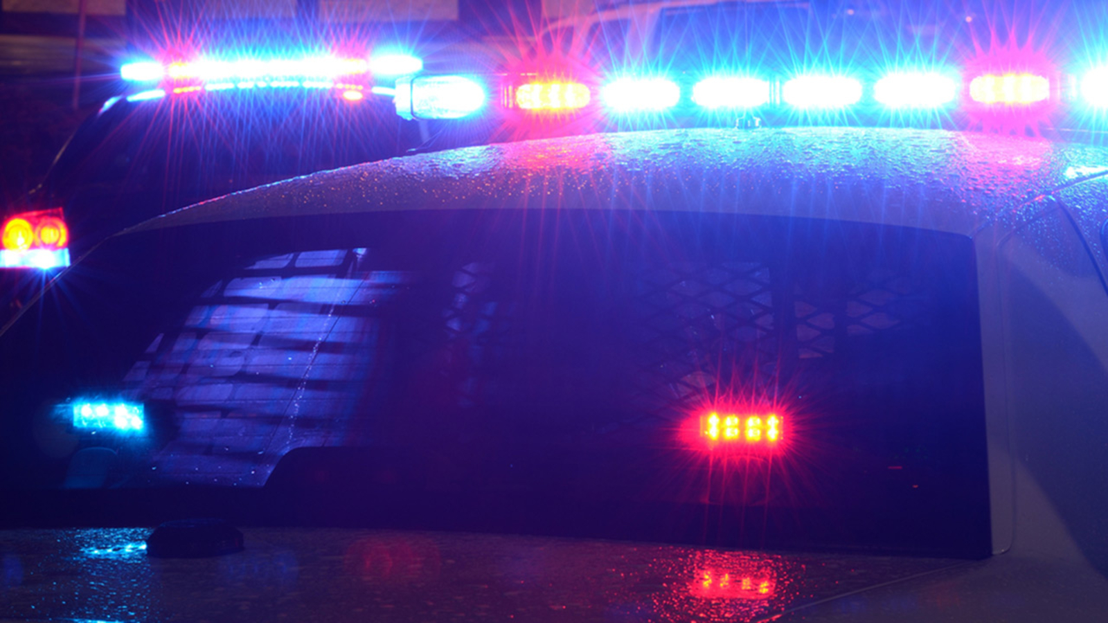 Chicago shooting: Offender shot during armed robbery at West Chatham business on West 87th Street, police say