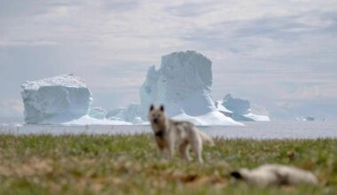 Wanted Iceland's control over Greenland