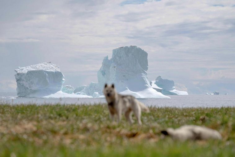 Wanted Iceland's control over Greenland