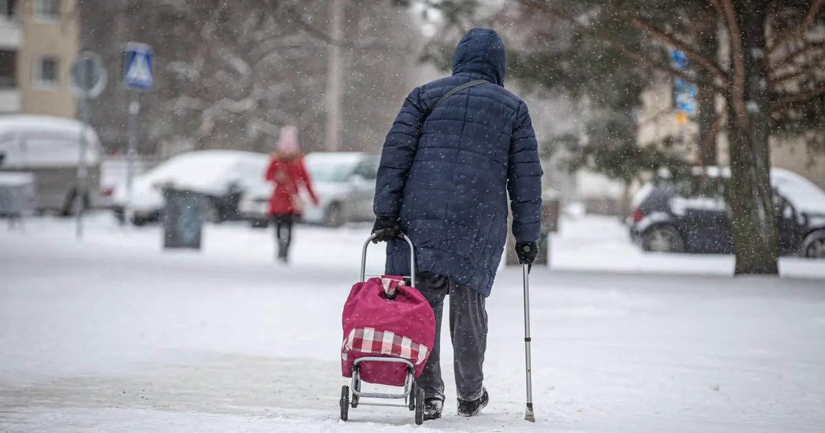 EUROLIIDU REKORD ⟩ Eestis on suur osa pensionöridest sunnitud vabaduse nautimise asemel tööl käima