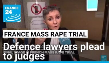 Defence lawyers plead to judges in French mass rape trial • FRANCE 24 English
