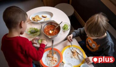 Kostenloses Obst und Gemüse: Kürzungen beim EU-Schulprogramm treffen auch Oberpfälzer Schulen