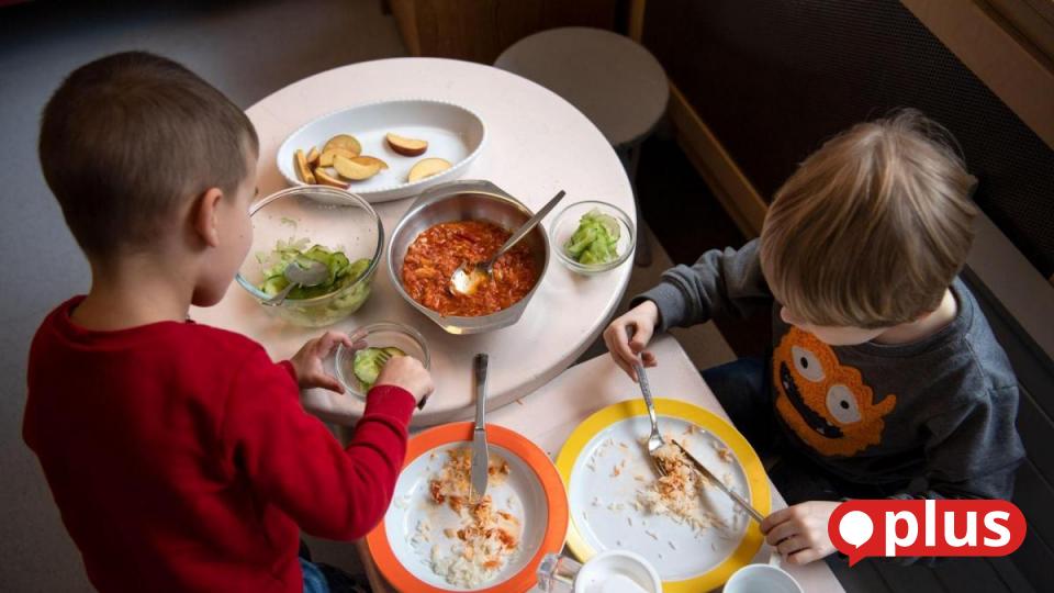 Kostenloses Obst und Gemüse: Kürzungen beim EU-Schulprogramm treffen auch Oberpfälzer Schulen
