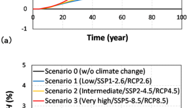 Risk-based bridge life cycle cost and environmental impact assessment considering climate change effects