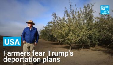‘Our farms will come to a stop’: US farmers fret over Trump's deportation plans • FRANCE 24
