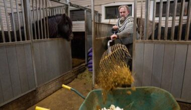 Horsemen are furious over manure tax