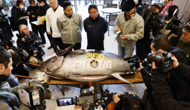 Tuna fetching $1.3 mil. in New Year auction fuels Japan economy hopes