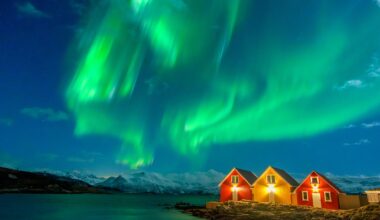 I visited the European city where you can see orcas in the wild and flights there are £23
