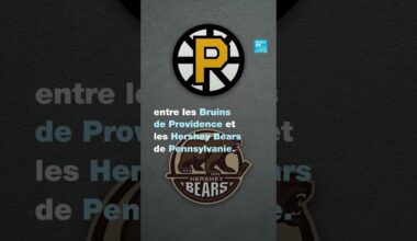 🧸 Un match de hockey interrompu par plus de 100 000 peluches • FRANCE 24