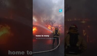 Los Angeles: Thousands flee as wildfires burn out of control • FRANCE 24 English