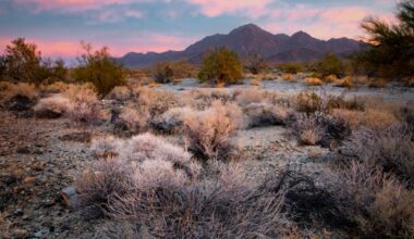 Biden establishes 2 new national monuments in California