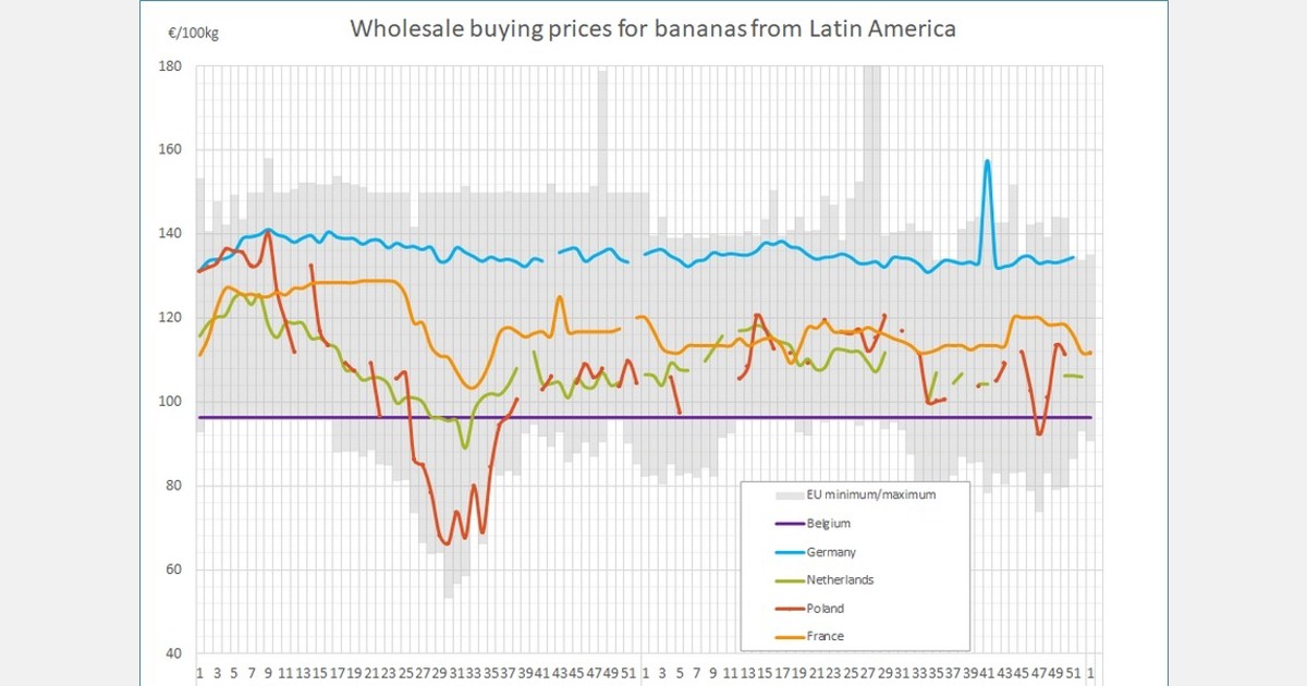 European banana prices stable, with France rising 2% and Spain 3% in early January