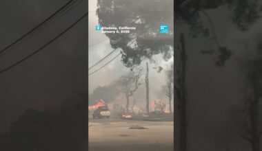 In images: Destruction left behind by Los Angeles wildfires … • FRANCE 24 English