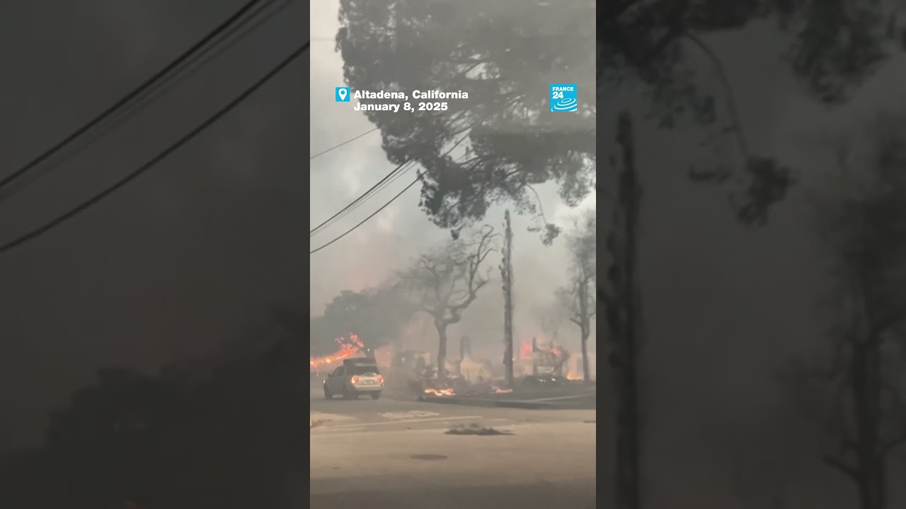 In images: Destruction left behind by Los Angeles wildfires … • FRANCE 24 English