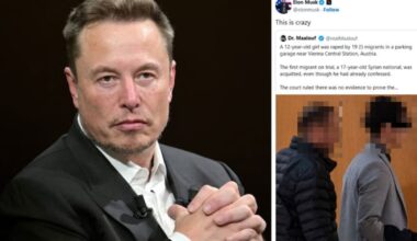 Freispruch kommentiert - Musk blickt nach Österreich: Fall Anna „crazy“