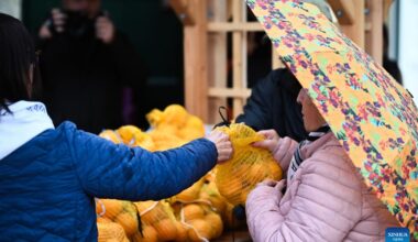 Annual citrus festival held in Attard, Malta-Xinhua