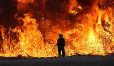 Los Angeles fires expose deadly impact of climate-driven ‘weather whiplash’ | NEWS