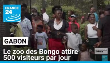 Gabon : le zoo des Bongo attire 500 visiteurs par jour • FRANCE 24