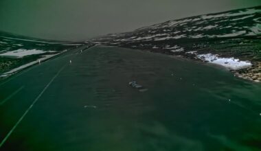 Tourists rescued from car roofs