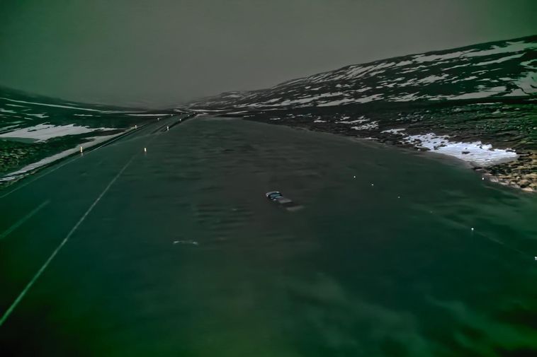 Tourists rescued from car roofs