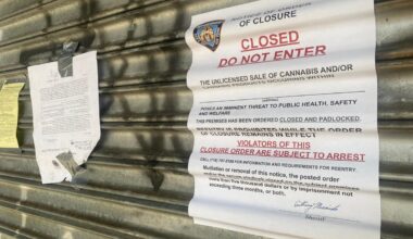 New York Judge Bans Warrantless Searches Of Hemp Businesses