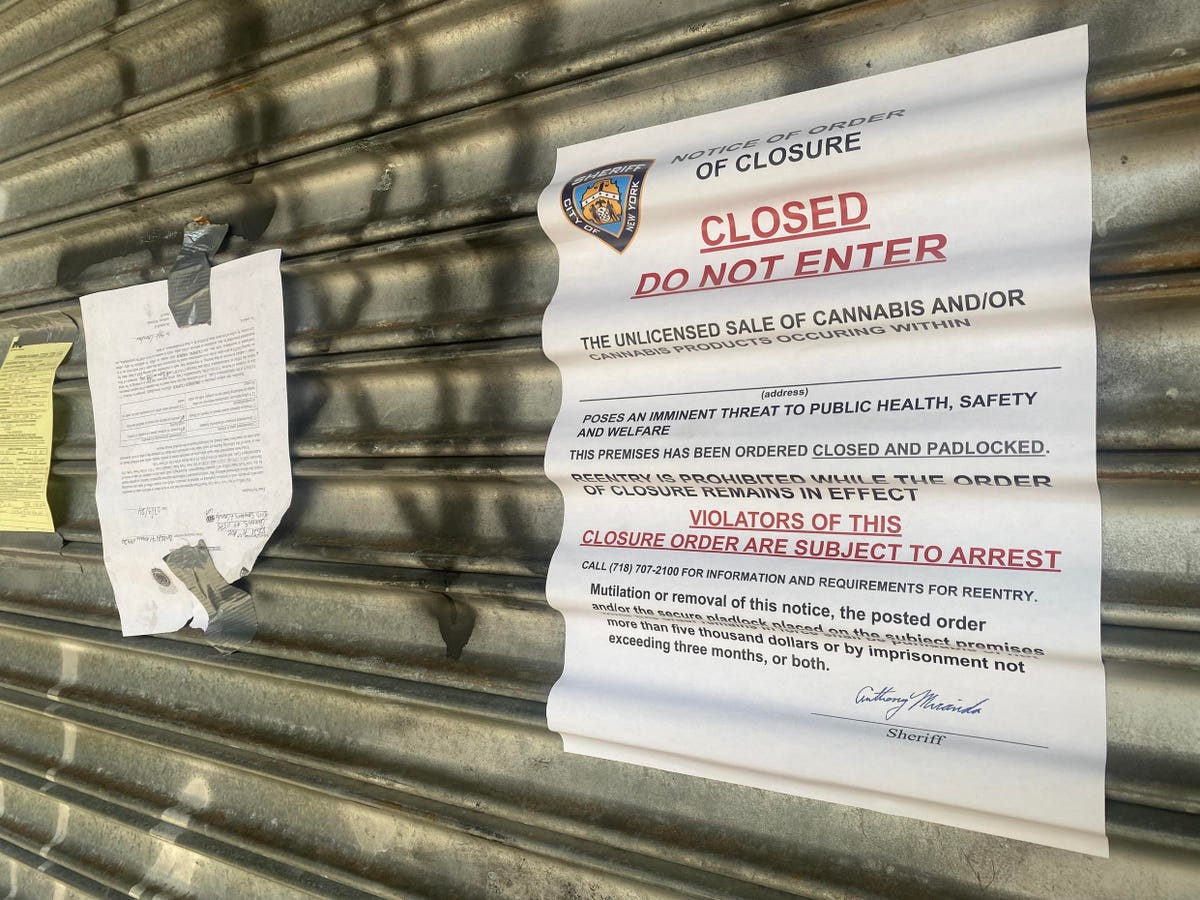 New York Judge Bans Warrantless Searches Of Hemp Businesses