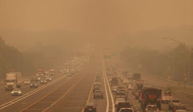 How The Changing Climate Is Impacting Your Lungs And What You Can Do About It