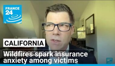Los Angeles wildfires spark insurance anxiety among victims • FRANCE 24 English