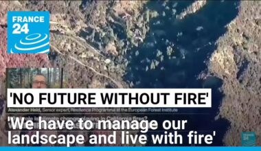'Opportunity to really learn from disaster and start rebuilding better into a more resilient future'