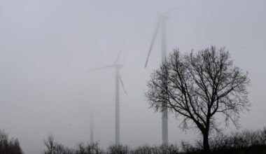 Windkraft: Vattenfall-Chef rät der AfD in Energiefrage zum Faktencheck