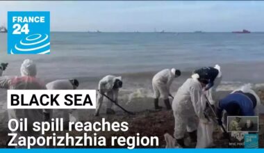 Black sea oil spill reaches the partially Russian-occupied Zaporizhzhia region • FRANCE 24 English