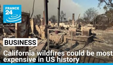 California wildfires could be most expensive in US history • FRANCE 24 English