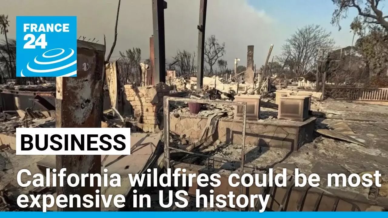 California wildfires could be most expensive in US history • FRANCE 24 English