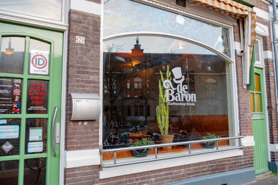 First harvest from Village Farms' Netherlands facility to reach stores in coming weeks