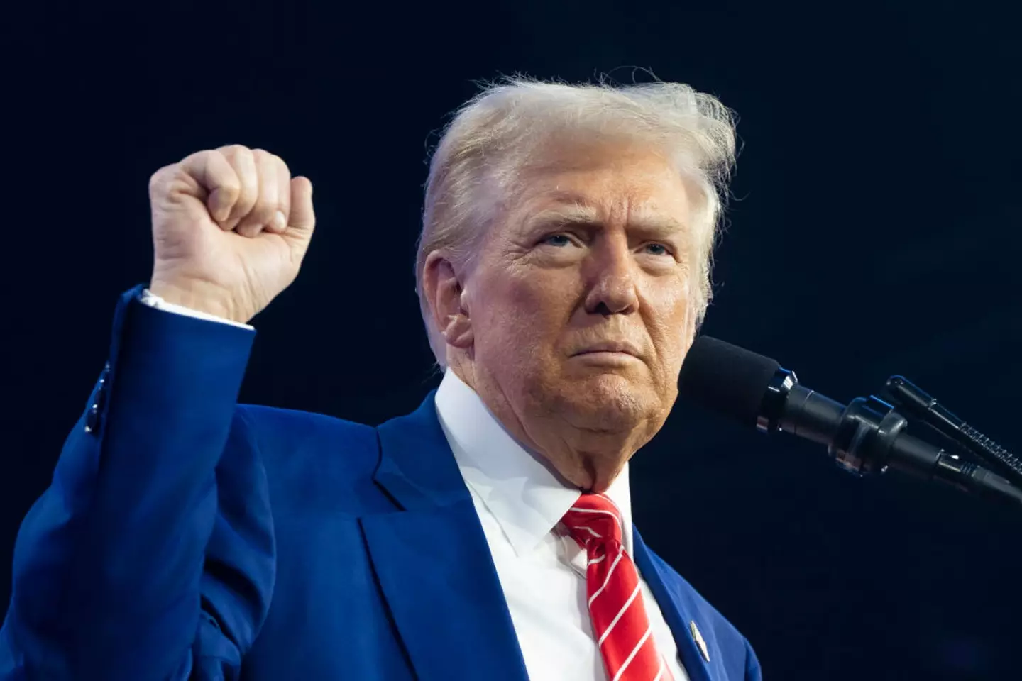 Trump also previously explained why he wasn't a 'fan' of Markle's (Rebecca Noble / Stringer / Getty Images)