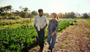 The Climate-Smart Program includes participating farmers from Wisconsin, Iowa, Minnesota and South Dakota. (Adobe Stock)