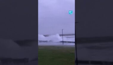 🌪️ La tempête #Eowyn frappe l’#Irlande et le #RoyaumeUni • FRANCE 24