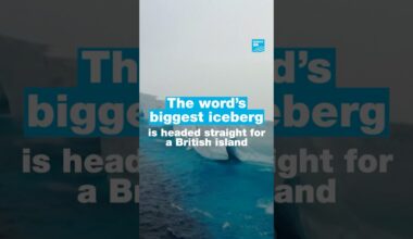 ❄️🐧The world's biggest #iceberg is headed straight for a #British island • FRANCE 24 English