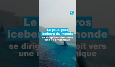 ❄️🐧 Le plus gros #iceberg du monde se dirige tout droit vers une île #britannique • FRANCE 24