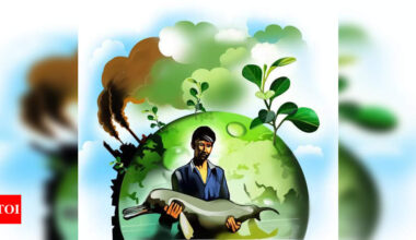 Co can’t escape environment compensation by paying royalty for illegal extraction: NGT | Bhubaneswar News
