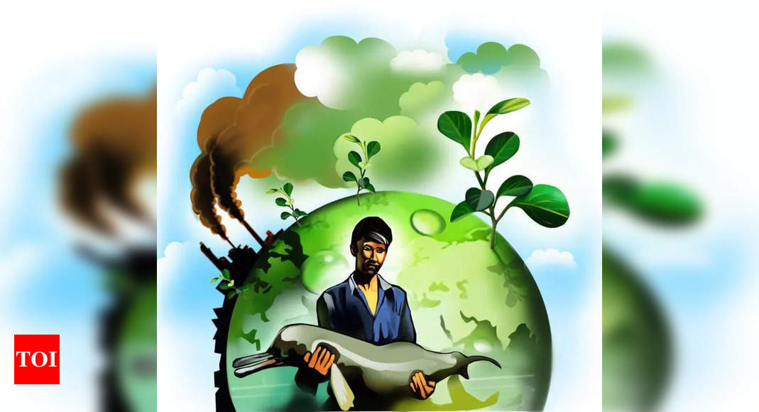 Co can’t escape environment compensation by paying royalty for illegal extraction: NGT | Bhubaneswar News