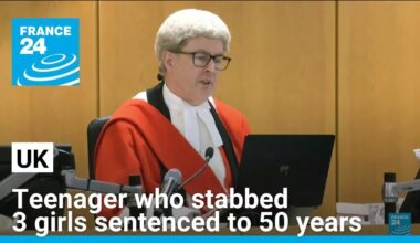 Teenager who stabbed 3 girls in UK sentenced to more than 50 years • FRANCE 24 English